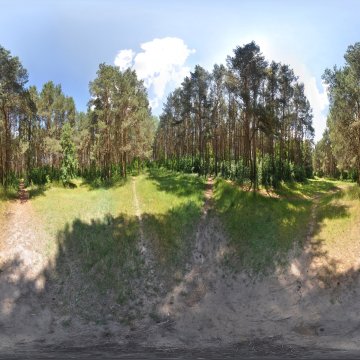 Поляна в лесопарке Лососна. Беларусь. Гродно. 2017.