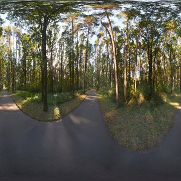 Новый асфальт на Тропе здоровья. Лесопарк Пышки. Беларусь. Гродно. Сентябрь 2023.