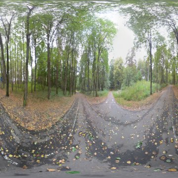Перекрёсток велодорожек. Гродно. Лесопарк Пышки. Ноябрь 2023.