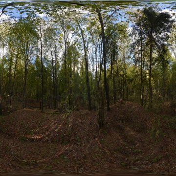 На кровле форта. Беларусь. Окрестности Гродно. Система фортов I мировой войны.  Ноябрь. 2023.