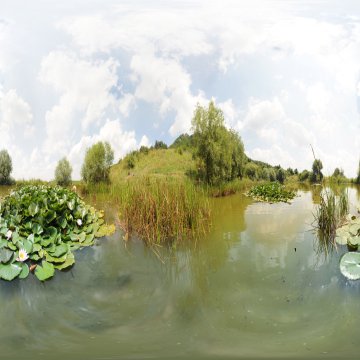 КМВ. Бештау. Монастырское озеро с лотосами. 2013