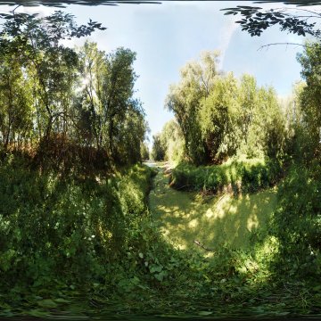 Волгоградская область. Волго-Ахтубинская пойма. Лес и ерик возле Сахарного. лето 2010
