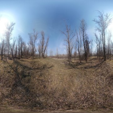 Волгоградская область. Окрестности Волжского. Поляна за Длинным озером. Март 2022